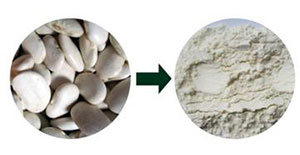 陶瓷膜過(guò)濾在蕓豆提取物中的運(yùn)用