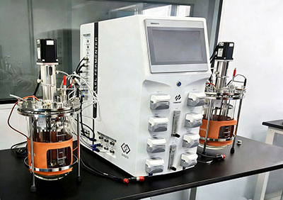 霍爾斯實(shí)驗(yàn)室雙聯(lián)發(fā)酵罐Twin220